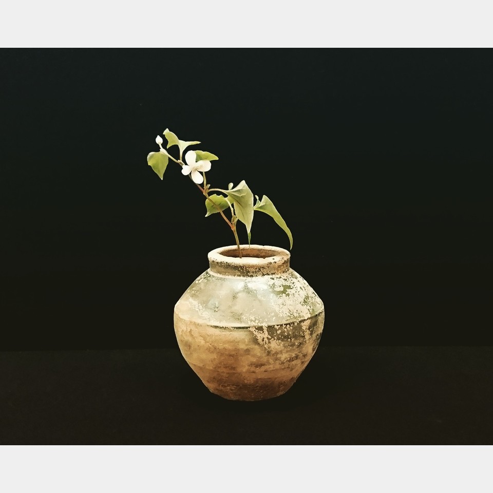 紹介　漢の緑釉に花の投稿画像01